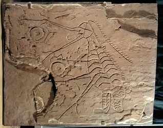 Plaquette versierd met een fabelachtig beest, uit Zuid-Siberië